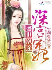盛世凰途:深宫宠妃